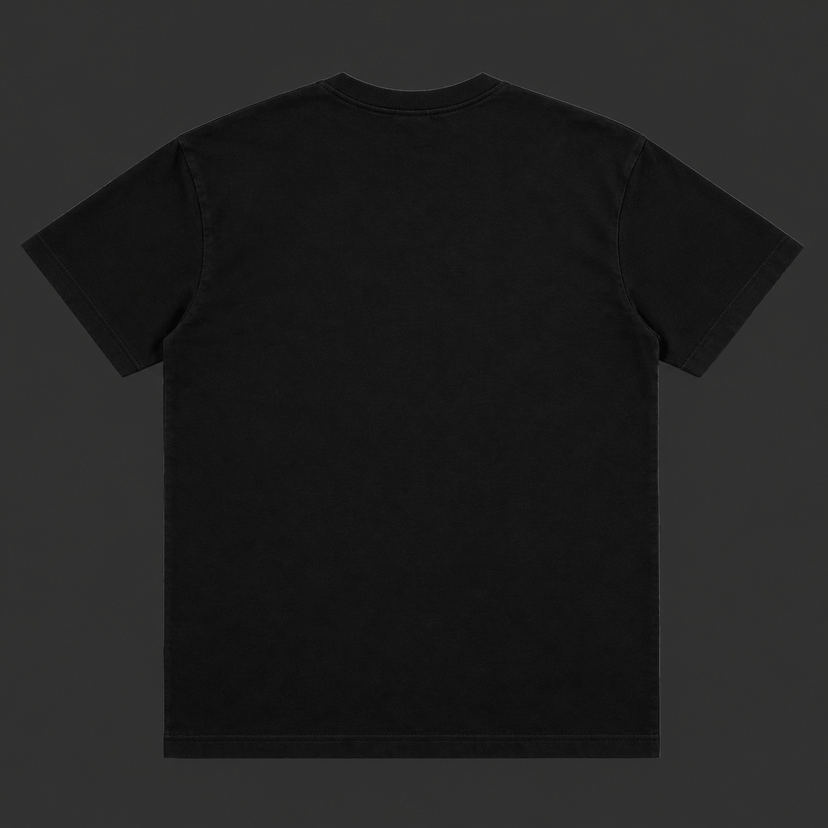 Daily Tee black cotton T-shirt back view